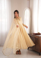 Vedraani Premium Doremon Crush Mirror Work Flared Gown Set with Butterfly Net Dupatta for Women