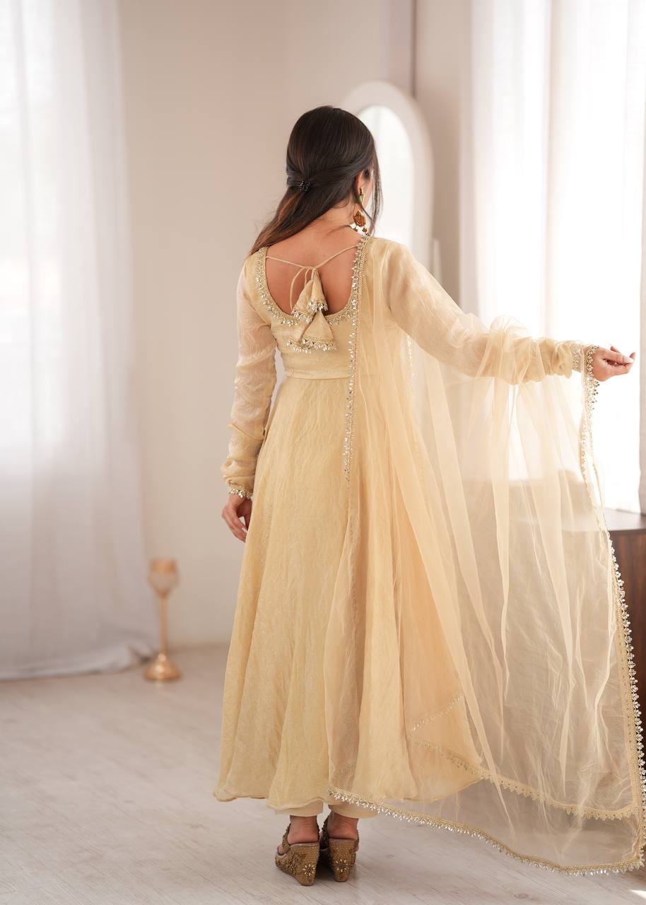 Vedraani Premium Doremon Crush Mirror Work Flared Gown Set with Butterfly Net Dupatta for Women