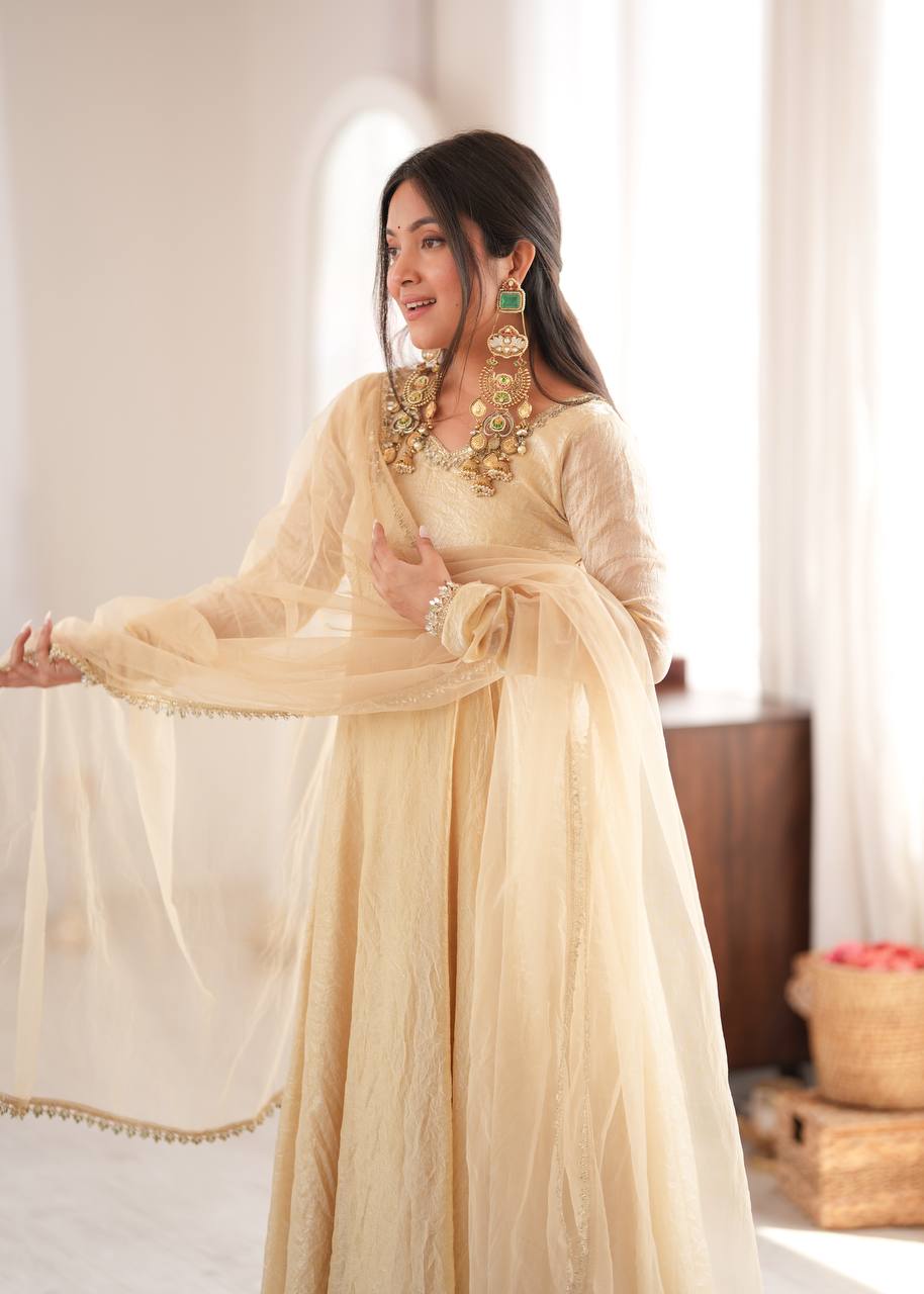 Vedraani Premium Doremon Crush Mirror Work Flared Gown Set with Butterfly Net Dupatta for Women