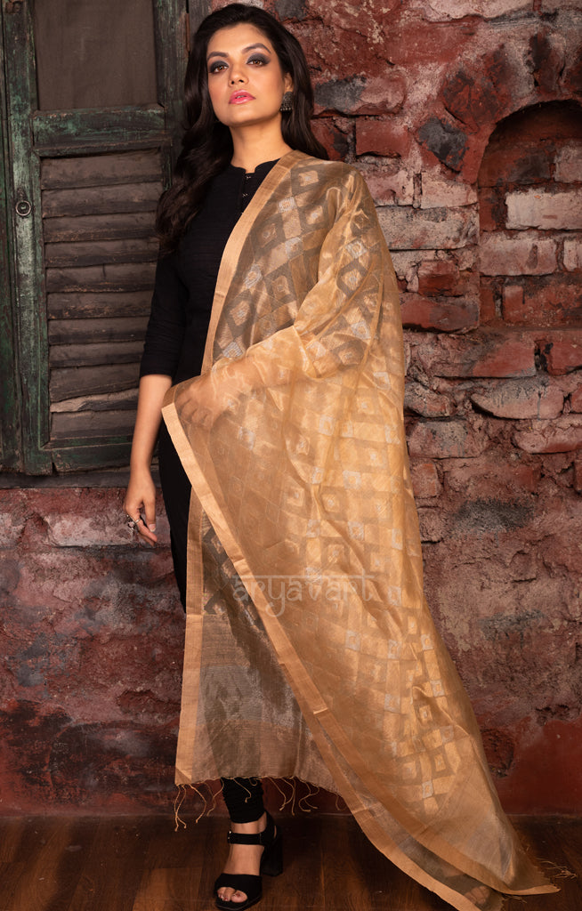 Stunning Gold Dupatta With Jamdani Work in Gold & Silver