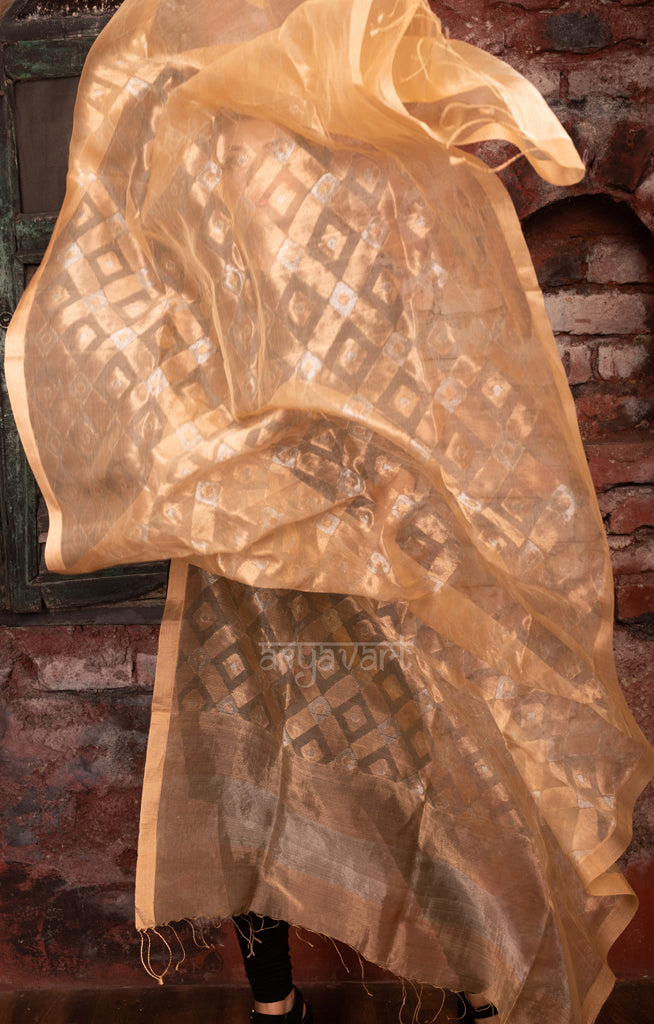Stunning Gold Dupatta With Jamdani Work in Gold & Silver