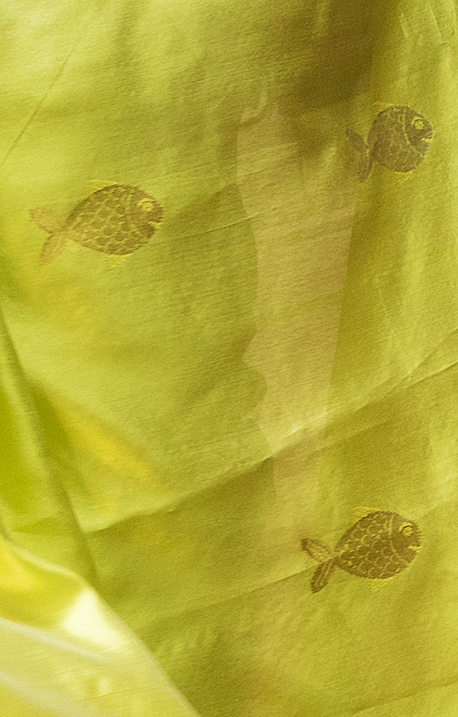 Volt Green Silk Chanderi With  Along The Length of the Sare